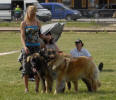 Lempileijonan Kennel