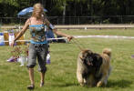 Lempileijonan Kennel