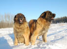 Iita & Peppi