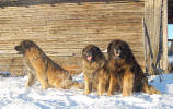 �Peppi, Iita & Pallero