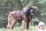 Palleo